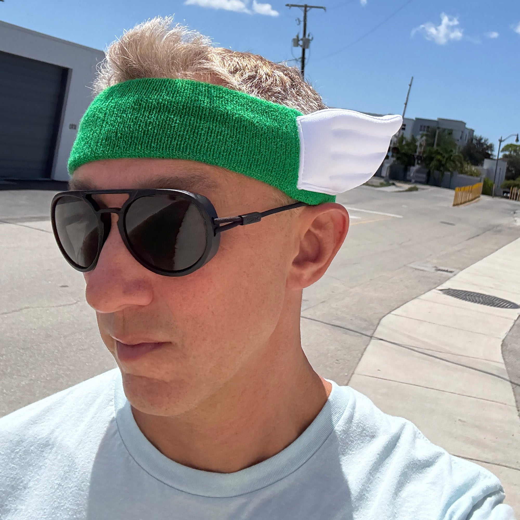 Wingbandit